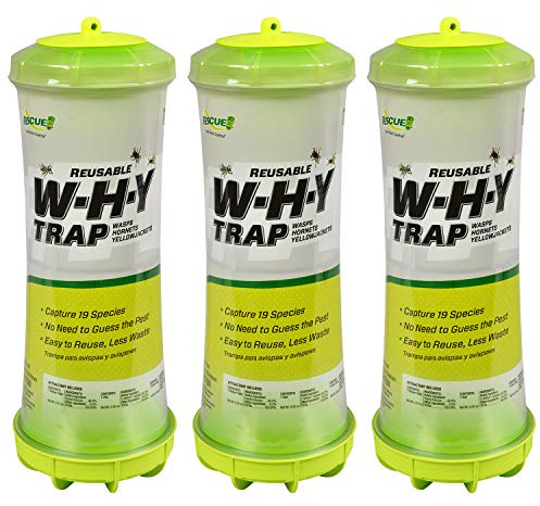 RESCUE! WHY Trap for Wasps, Hornets, & Yellowjackets – Hanging Outdoor Trap - 3 Traps