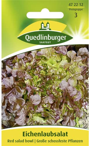 Pflücksalat, Eichenlaubsalat, Lactuca sativa crispa, ca. 500 Samen