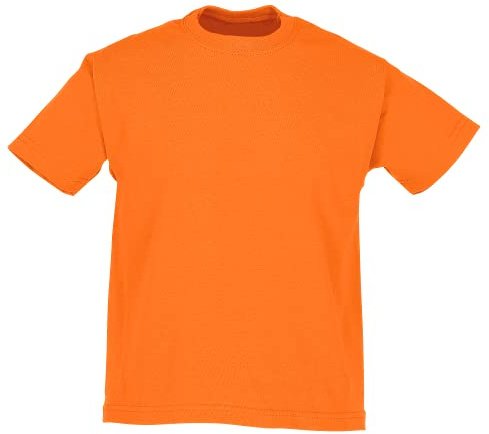 Fruit of the Loom Childrens/Kids Original Short Sleeve T-Shirt (12-13 Years) (Orange)