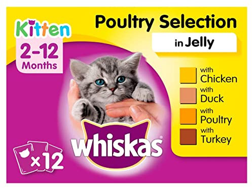 Whiskas Pouch 2-12m Jelly Kätzchen Nass-Futter (4 Packungen mit je 12 x 100g) (EinheitsgröÃŸe) (Geflügel)