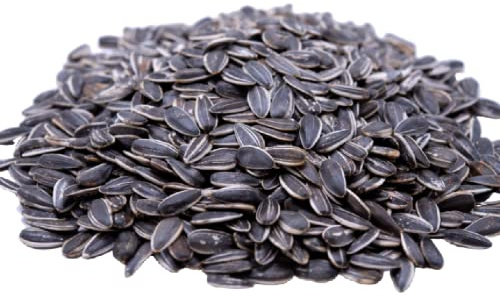 Lightly Sea Salted Sunflower Seed in Shell by Gerbs - 2 LBS - Top 11 Food Allergen Free & Non GMO - Premium Dry Roasted Seeds – COG USA