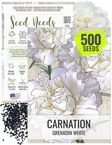 Seed Needs Grenadin White Carnation Seeds to Plant Annual Flowers 1 Pack