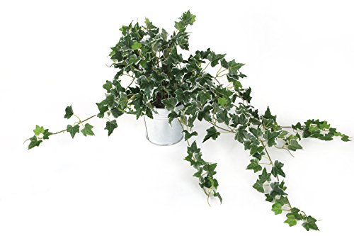 Closer2Nature Artificial 57cm Variegated Ivy Plug Plant, Fake Vine Green Leaves Hanging Vine Plant Decoration Plants for Indoors in Home Decor Lounge and Office or Outdoor Foliage