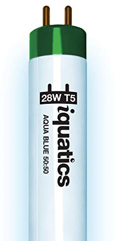 iQuatics Juwel Compatible Aquarium Fluorescent Light Bulb T5 (Single), Aqua Blue 50:50, 28w 590mm 24