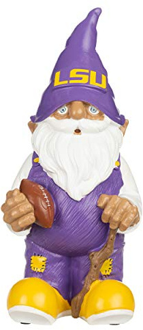 FOCO Lsu 2008 Team Gnome