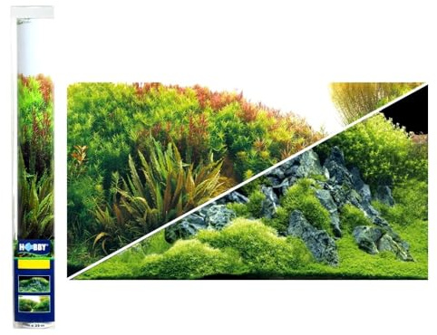 Hobby 31044 Fotorückwandzuschnitt 'Planted River/Green Rocks'