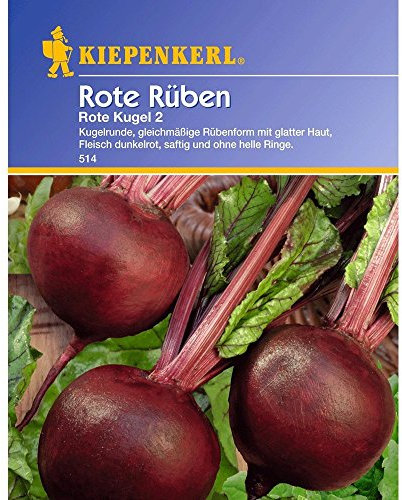 Kiepenkerl Rote Rüben 'Rote Kugel 2',1 Portion