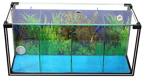 Aquarium Zucht-Becken Betta 24 L, Garnelen-Aquarium, Aufzucht-Aquarium, Kampffisch-Aquarium