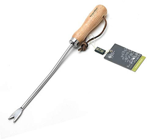 Burgon & Ball GTH/SDWRHS RHS Stainless Steel Dandelion Weeder
