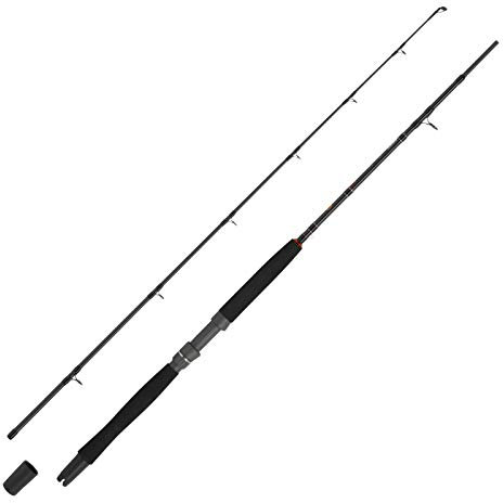 WFT Go North 30lbs 2,10m 200-600g