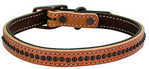 Weaver Leather Pet Outlaw Collar