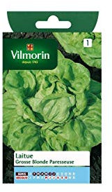 Vilmorin - Sachet graines Laitue Grosse blonde paresseuse