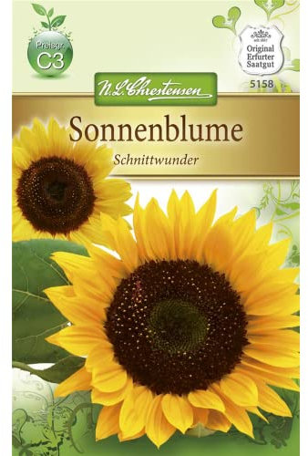 Chrestensen Sonnenblume 'Schnittwunder'