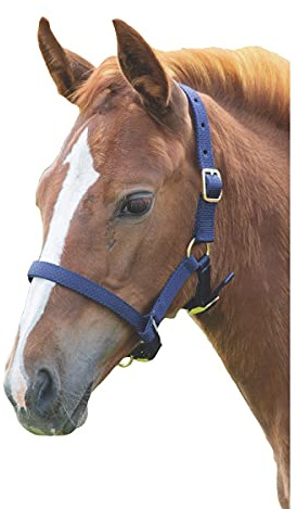 Shires Foal Nylon Headcollar Navy Blue
