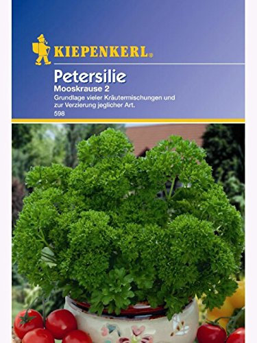 Petersilie Mooskrause 2 ein- bis zweijährig