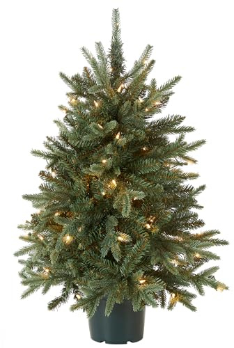National Tree Company Artificial Christmas Tree For Entrances | Includes White Lights and Pot | Everyday Collections - 3 ft