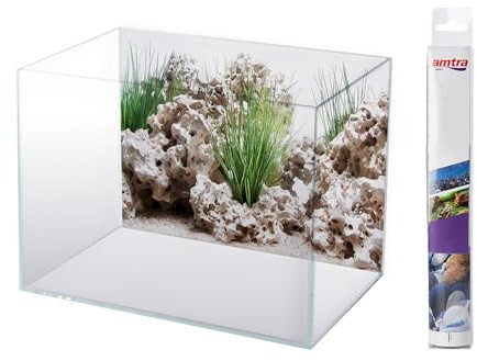 AMTRA WONDER, Fond Aquarium Double, Décoration Aquarium, Poster décoratif Impression Double, Format 30x60cm