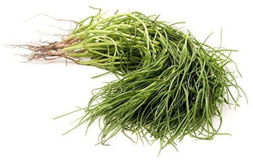 Agretti Sale Erbe - 50 Seme