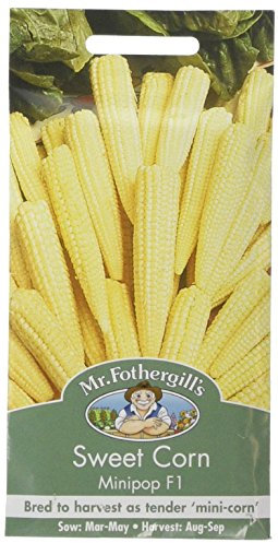 Mr Fothergill's Sweet Corn Minipop F1
