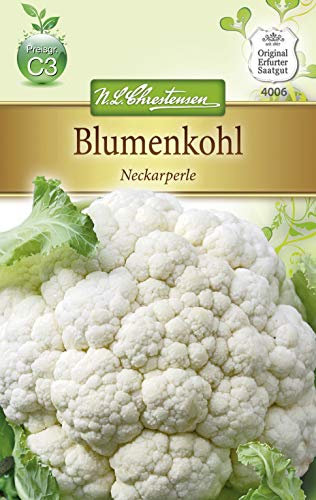 Chrestensen Blumenkohl 'Neckarperle'