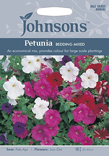 Johnsons PETUNIA Bedding Mixed