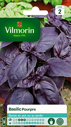 Vilmorin 5873046 Pack de Graines Basilic Pourpre