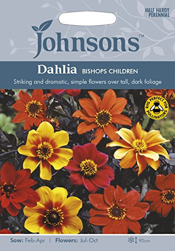 Johnson's 16949 Flower Seeds, Dahlia Bishops Children, Mixed 16949