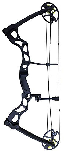 SAS Outrage 70 Lbs 31 Hunting Compound Bow Target Bowfishing - Black RH