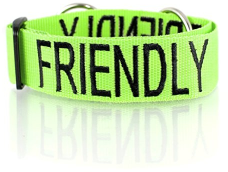 Dexil FRIENDLY (Known as Friendly to all) Green Colour Coded Wide L-XXL Semi-Check Dog Collar PREVENTS Accidents By Warning Others Of Your Dog In Advance