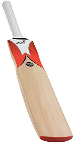 Woodworm Cricket Fireworm Flame Junior Cricket Bat Harrow