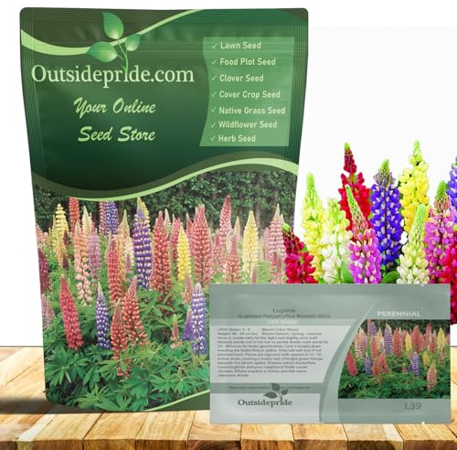 Outsidepride Mixed Russells Lupine Seeds - 500 Pcs Perennial, Self-Sowing, Cold Hardy & Frost Tolerant Wildflower Seeds for Fall Planting, Ideal for Attracting Pollinators & Hummingbirds