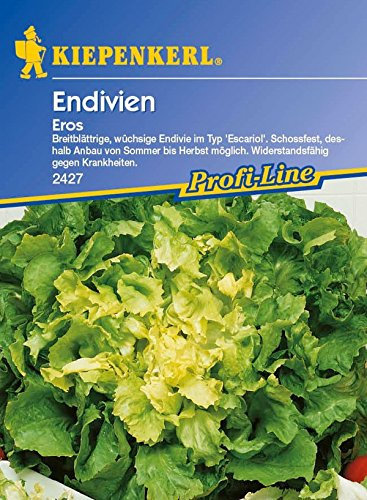 Kiepenkerl, Endivien Eros