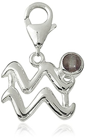 Charm Sternzeichen Anhänger Wassermann 15mm, 925 Sterling Silber mit Fluorit Edelstein grau, Sternbild für Armband Kette