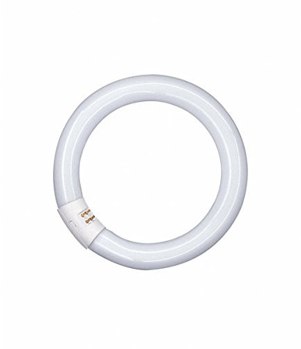 Lampada fluorescente, G10q/230V/40W-840, LUMILUX ® T9C anello di forma