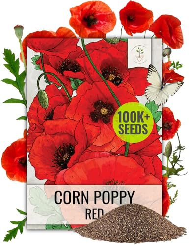 Seed Needs Poppy Seeds for Planting Red Corn 100,000 Seeds Bulk Pack
