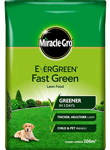 Evergreen - Fertilizante para césped (perenne)