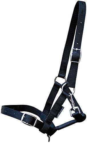 Harry's Horse 31000300-01 Foal Halter Black