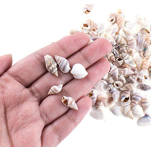Super Z Outlet Tiny Miniature Fairy Garden Beach Critter Seashells Marine Life Collection for Vase Filler (2 Tbsp Pack)