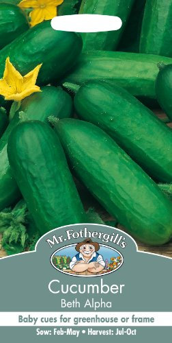 Mr Fothergill's 22124 Vegetable Seeds, Cucumber Beth Alpha, Green
