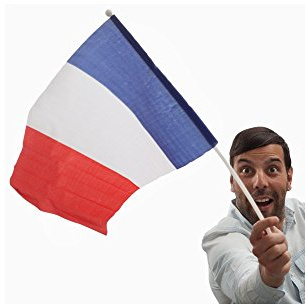 Drapeau de la France avec Manche (46 x 30 cm)