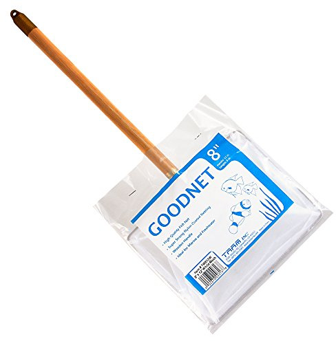 Taam ATATW812W Wood Handle Net for Aquarium, 8-Inch by 6.5-Inch by 12-Inch, White