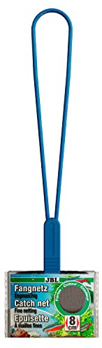 JBL Epuisette Maille Fine pour Aquariophilie 8 cm 1 Unité