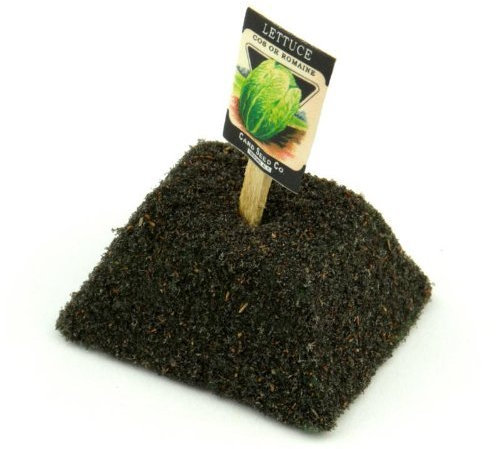 MyTinyWorld Dolls House Miniature Romaine Lettuce Seed Packet With A Stick