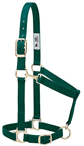 Weaver Leather Pferdehalfter aus Nylon, gepolstert und verstellbar, Kinn- und Rachen-Karabinerhaken Halfter für Pferde, vermessingte Halfter für Training