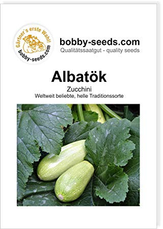 Albatök Zucchinisamen von Bobby-Seeds, Portion