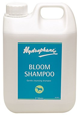 Bloom Shampoo, Hydrophane, Horse Shampoo and Conditioners, 2.0L