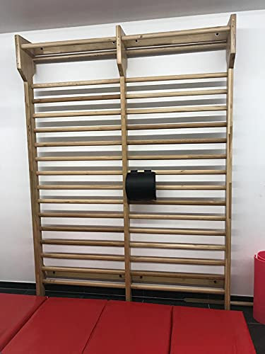 ARTIMEX Espalier suédois double en chêne, pour la physiothérapie et la gymnastique - utilisé dans les maisons, les gymnases, les cliniques, les écoles ou les centres de fitness,240*180cm, code 216-2E