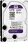 Western Digital WD Purple HDD Interno 2000 GB, SATA III, 6000 Mbit/s, 7200 rpm, 64 MB, 3.50 Pollici