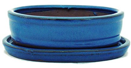 exotenherz - Bonsai-Schale mit Unterteller Gr. 2 - Blau - oval - Modell O7 - L 15,5cm - B 12cm - H 4,5cm