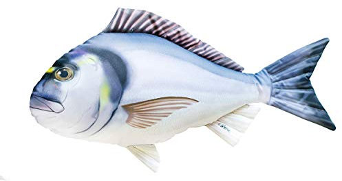 GABY Fish Pillows Goldbrasse Kissen, Polyester, Mehrfarbig, Medium